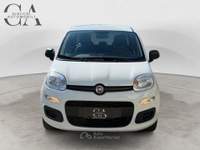 Fiat Panda 1.2 Easy s&amp;s 69cv my19 usata Rovigo