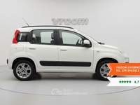 Fiat Panda Panda 0.9 TwinAir Turbo Natural Power Lounge Bianco usata Livorno