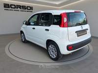 Fiat Panda - panda 1.0 firefly s&s hybrid Bianco usata Treviso Fiat Panda - panda 1.0 firefly s&s hybrid Bianco usata Treviso