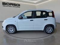 Fiat Panda - panda 1.0 firefly s&s hybrid Bianco usata Treviso Fiat Panda - panda 1.0 firefly s&s hybrid Bianco usata Treviso