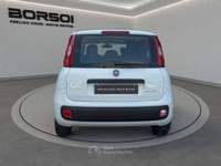 Fiat Panda - panda 1.0 firefly s&s hybrid Bianco usata Treviso Fiat Panda - panda 1.0 firefly s&s hybrid Bianco usata Treviso