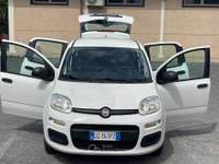 Fiat Panda 1.0 FireFly S&S Hybrid Euro 6D 6 Marce Bianco usata Fiumicino