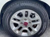 Fiat Panda 1.0 FireFly S&S Hybrid Euro 6D 6 Marce Bianco usata Fiumicino