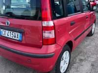 Fiat Panda 1.2 Dynamic usata Coriano