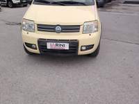 Fiat Panda 1.2 4x4 Climbing - NEOPATENTATI Giallo usata Massarosa