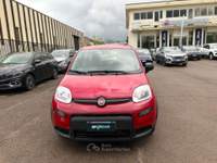 Fiat Panda PROMO 1.0 firefly hybrid s&amp;s 70cv Rosso usata Borgo San Lorenzo