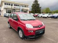 Fiat Panda PROMO 1.0 firefly hybrid s&amp;s 70cv Rosso usata Borgo San Lorenzo