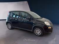 Fiat Panda III 2021 1.0 firefly hybrid s&s 70cv 5p.ti Nero usata Torino