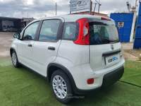 Fiat Panda FIAT Panda 1.0 FireFly S&S Hybrid Bianco usata Bari