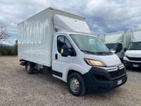 Citroen Jumper  Bianco usata Marino