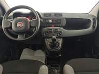 Fiat Panda 1.0 FireFly 70cv S&S Hybrid -** Bianco usata Ciampino