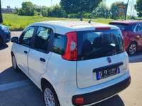 Fiat Panda FireFly S&S Hybrid Bianco usata Torino