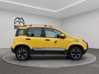Fiat Panda 1.0 FireFly Hybrid Cross Oro usata Roma