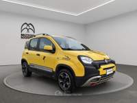 Fiat Panda 1.0 FireFly Hybrid Cross Oro usata Roma