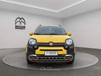 Fiat Panda 1.0 FireFly Hybrid Cross Oro usata Roma