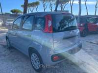Fiat Panda 1.0cc HYBRID 70cv GSE Grigio usata Roma