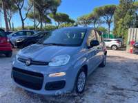 Fiat Panda 1.0cc HYBRID 70cv GSE Grigio usata Roma