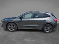 Ford Kuga Full Hybrid 190 CV CVT 2WD ST-Line X Grigio usata LECCE