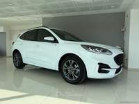 Ford Kuga Kuga 2.0 EcoBlue 120 CV aut. 2WD ST-Line Bianco usata San Michele salentino