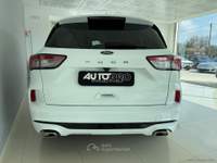 Ford Kuga Kuga 2.0 EcoBlue 120 CV aut. 2WD ST-Line Bianco usata San Michele salentino