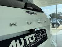 Ford Kuga Kuga 2.0 EcoBlue 120 CV aut. 2WD ST-Line Bianco usata San Michele salentino