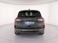 Ford Kuga 2.5 full hybrid ST-Line X awd 190cv cvt Grigio usata Roma