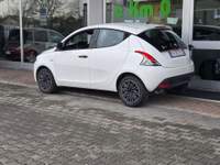 Lancia Ypsilon 5 porte GPL Ecochic Gold Bianco usata Cotignola