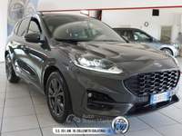 Ford Kuga 1.5 EcoBlue 120 CV aut. 2WD ST-Line Grigio usata Galatina