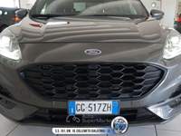 Ford Kuga 1.5 EcoBlue 120 CV aut. 2WD ST-Line Grigio usata Galatina