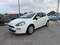 Fiat Punto Punto 1.2 8V 3p. Pop usata Cervia