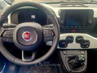 Fiat Panda LA CROSS PICCOLA MA GENEROSA Blu/Azzurro usata San Donato Milanese