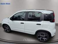Fiat Panda Panda III 2021 1.0 firefly hybrid Sport s Bianco usata San Giovanni di Fassa