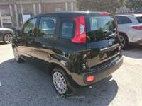 Fiat Panda 1000 HYBRID 70 CV PDC ITALIA Nero usata Vetralla