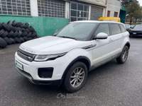 Land Rover Range Rover Evoque 2.0 TD4 5p. Pure 4WD Aut.*RISERVATA OPERATORI SET. Bianco usata Andalo Valtellino
