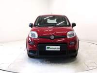 Fiat Panda 1.0 FireFly Hybrid Manuale  * KM0 * Rosso usata Andalo Valtellino