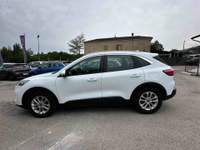Ford Kuga EcoBlue 120 CV aut. 2WD Titanium Business Bianco usata Villa Santa Lucia