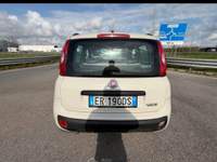Fiat Panda FIAT PANDA NATURAL POWER 2013 197 MILA KM Beige usata Mondragone