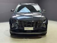 Hyundai Tucson 1.6 hev Exellence 2wd auto usata Bassano del Grappa
