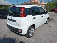 Fiat Panda 1000 HYBRID 70 CV PACK CITY 5 POSTI USB ITALIA Bianco usata Roma