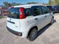 Fiat Panda 1000 HYBRID PANDINA ICON 65CV PACKCITY ITALIA Bianco usata Roma Fiat Panda 1000 HYBRID PANDINA ICON 65CV PACKCITY ITALIA Bianco usata Roma