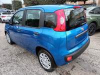 Fiat Panda 1000 HYBRID PANDINA POP 65CV ITALIA Blu/Azzurro usata Pistoia