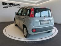 Fiat Panda  - panda 1.2 easypower easy Grigio usata Treviso