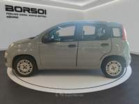 Fiat Panda  - panda 1.2 easypower easy Grigio usata Treviso