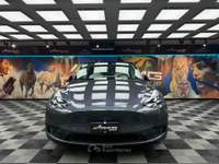 Tesla Model Y (222) Grigio usata Calenzano
