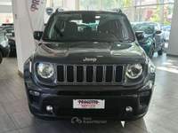 Jeep Renegade Renegade 2019 1.6 mjt Limited 2wd 130cv Grigio usata Torino