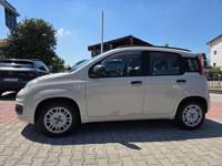 Fiat Panda Pop Beige usata Gemona del Friuli