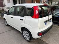 Fiat Panda 1.0 firefly hybrid s&s 70cv 5p.ti Bianco usata Castelletto di Branduzzo