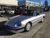 Alfa Romeo Spider Duetto Aerodinamica 2.0 Veloce Argento usata Ozzano dell'Emilia