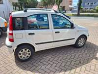 Fiat Panda Panda II 2003 1.2 Dynamic eco Bianco usata CASTEL BOLOGNESE