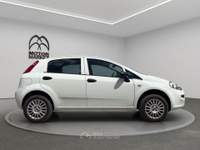 Fiat Punto 1.4 Natural Power Lounge Bianco usata Roma